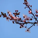 Отель Oud Holset *